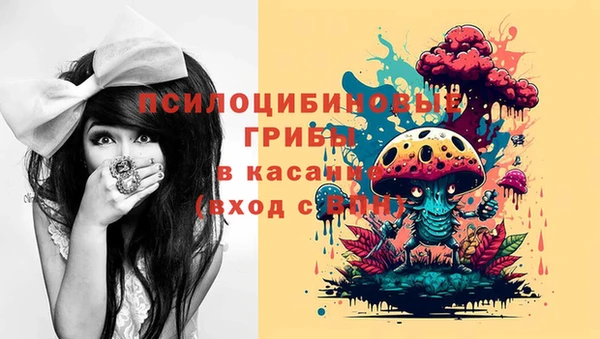 не бодяженный Алексин
